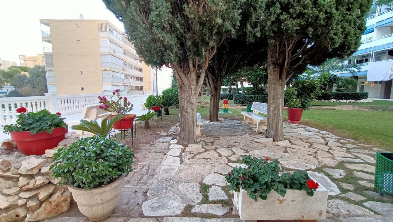 Апартаменты Apartamento Antonio De Alacant Aaa Аликанте Экстерьер фото